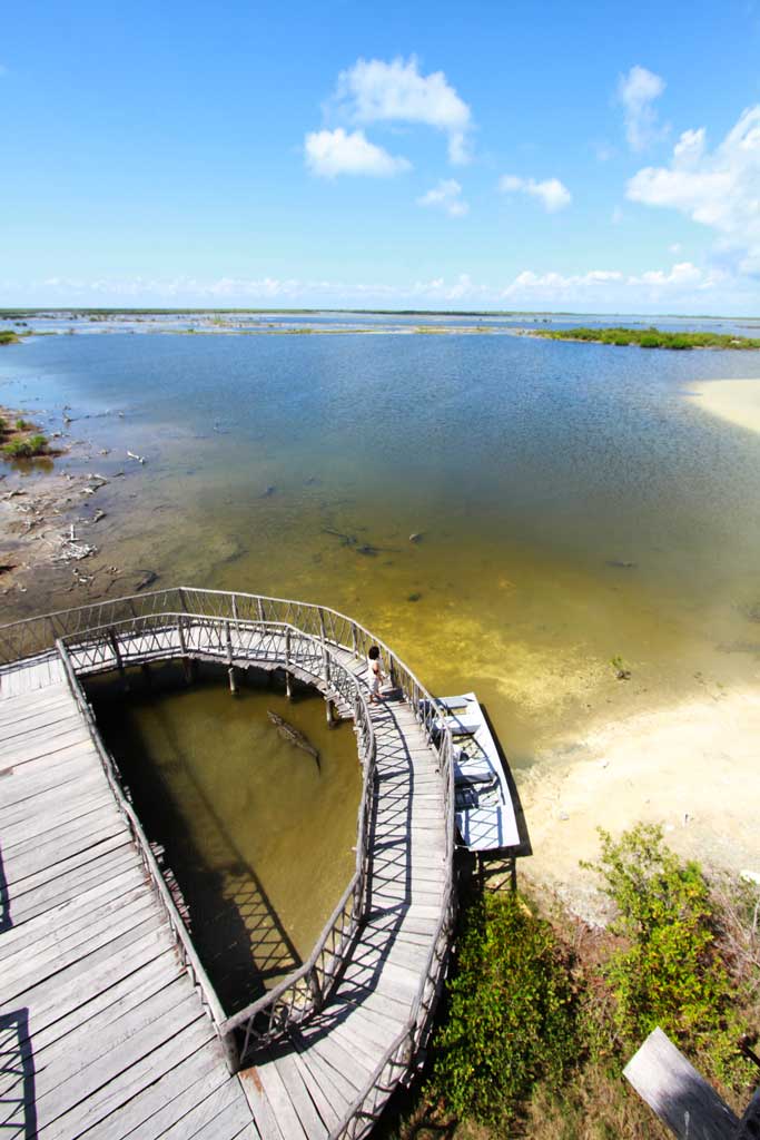 South Point Cozumel - Crocodiles Area